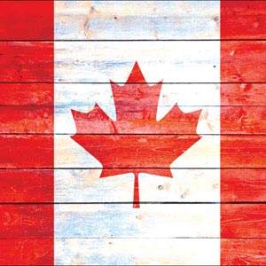 Canada Flag Light Wood Xbox Series S Skins